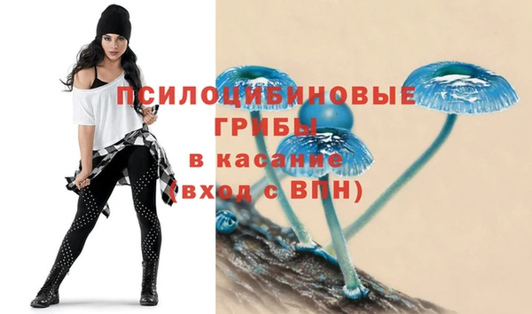 дмт Покров