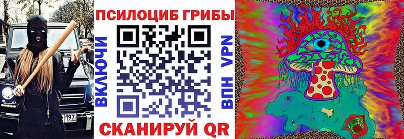 Галлюциногенные грибы мицелий  нарко площадка состав  Суджа 