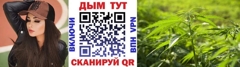 купить  сайты  Суджа  blacksprut зеркало  Канабис White Widow 