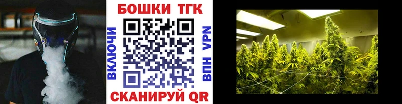 Бошки Шишки гибрид Суджа